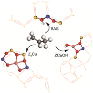 Graphical abstract: Unraveling the C3H6 poisoning mechanism of Z2Cu and ZCuOH sites over Cu-SSZ-13 during NH3-SCR