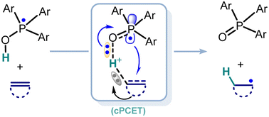 Graphical abstract: Computational insights into radical hydrogenation of alkenes and naphthalenes with Ar3P–OH radical
