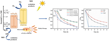 Graphical abstract: Synergistic adsorption–photocatalysis in α-Fe2O3/PDINH Z-scheme heterojunction for efficient azo dye wastewater treatment