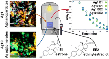 Graphical abstract: Silver modified LDH/GCN heterostructures for visible-light degradation of estrogens
