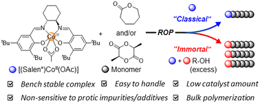 Graphical abstract: [(Salen*)Co(OAc)] as a robust initiator for the immortal bulk ring-opening (co)polymerization of l-lactide and ε-caprolactone