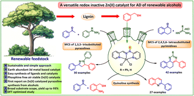 Graphical abstract: Metal–ligand cooperative strategy of a Zn-catalyst for multicomponent synthesis of highly substituted pyrazolines, pyrimidines, and quinolines: a combined experimental and DFT optimized study