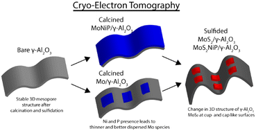 Graphical abstract: Cryogenic electron tomography reveals the mesoporous structure evolution during γ-Al2O3 supported Mo and MoNiP catalyst formation