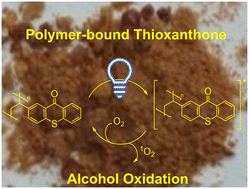Graphical abstract: Polystyrene-bound thioxanthone – a heterogeneous photocatalyst for alcohol oxidation via singlet oxygen production