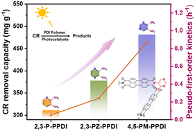 Graphical abstract: Tailored N-heterocyclic perylene diimide polymers for photocatalysis via molecular engineering
