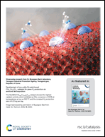 Graphical abstract: Back cover