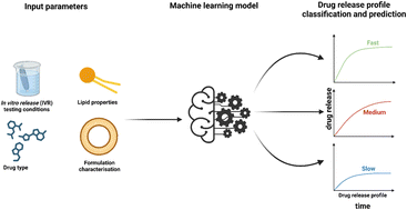 Graphical abstract: A machine learning workflow to accelerate the design of in vitro release tests from liposomes