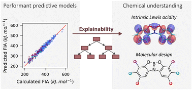 Graphical abstract: Constructing and explaining machine learning models for the exploration and design of boron-based Lewis acids