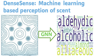 Graphical abstract: Dense Sense: a novel approach utilizing electron density augmented machine learning paradigm to understand the complex odour landscape