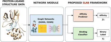 Graphical abstract: SLAB: simultaneous labeling and binding affinity prediction for protein–ligand structures