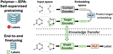Graphical abstract: Joint embedding predictive architecture for self-supervised pretraining on polymer molecular graphs
