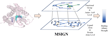 Graphical abstract: MSIGN: A deep learning framework based on multi-scale interaction graph neural networks for predicting binding of synthetic cannabinoids to receptors