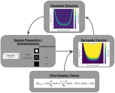 Graphical abstract: Using Flory–Huggins-informed human-in-the-loop Bayesian optimization to map the phase diagram of polymer blends