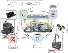 Graphical abstract: A mobile robotic process chemist