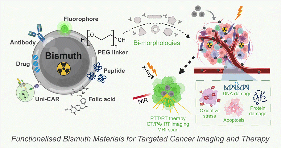 Graphical abstract: Targeted bismuth-based materials for cancer