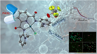 Graphical abstract: Water soluble palladium complexes bearing NNN-pincer ligands: synthesis, DFT modeling, cT-DNA interactions and in vitro cytotoxicity studies against breast cancer cell lines
