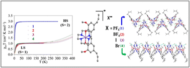 Graphical abstract: Modulation of the spin crossover behaviour in four manganese(iii) complexes through cation–anion interactions