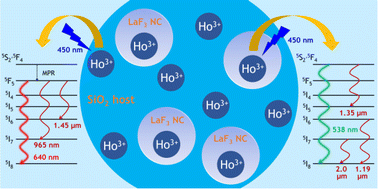 Graphical abstract: Evaluation of relaxation dynamics from excited states of Ho3+ ions in sol–gel nano-glass-ceramic materials