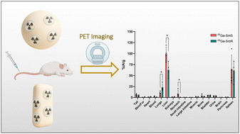Graphical abstract: Comparative in vivo PET imaging of silica microparticles: shape-dependent blood circulation and short-term biodistribution