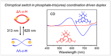 Graphical abstract: Dithienylethene-based supramolecular chiroptical switch in phosphate-coordination-driven 2 : 2 duplexes