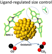 Graphical abstract: NHC-ligated gold nanoparticles derived from cluster precursors for carbon monoxide oxidation reactions