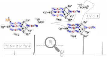 Graphical abstract: Synthesis and characterization of 15N-labeled tetranuclear Ir complexes via Li2C15N2