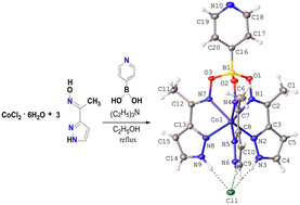 Graphical abstract: First pyridyl-terminated trigonal-prismatic cobalt(ii) cage-like complex as prospective N-donor highly paramagnetic three-dimensional ligand and probe