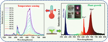 Graphical abstract: Synergistic luminescent thermometer and indoor plant growth lighting utilizing the Mg2LaSbO6:Eu3+/Mn4+ phosphor