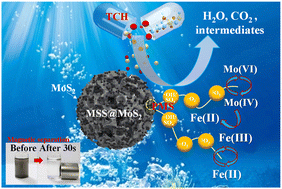 Graphical abstract: Efficient degradation of tetracycline hydrochloride by activation of peroxomonosulfate on a magnetic steel slag/MoS2 composite via ball milling