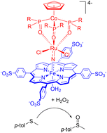 Graphical abstract: A water-soluble heterometallic iron(iv)–ruthenium(iv) μ-nitrido porphyrin complex: synthesis, structure and catalytic activity