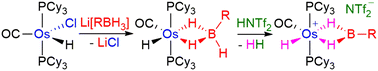 Graphical abstract: Syntheses and structures of cationic osmium bis(σ-B–H) borane complexes