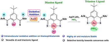 Graphical abstract: Thio-iso-phthalamide pincer ligand-driven oxidative addition of a C–Br bond to gold(i): synthesis and studies of SCS–gold(iii) pincer complexes