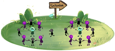 Graphical abstract: Synthesis of planar macrocyclic tetradentate phosphine–Mo complexes