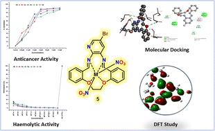 Graphical abstract: A salophen-type macrocyclic Schiff base ligand and its metal complexes: exploring in vitro anticancer efficacy via in silico topoisomerase IIβ enzyme targeting