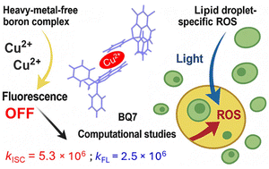 Graphical abstract: Light- and copper-activated (photo)cytotoxicity of 8-hydroxyquinoline-based boron photosensitizers with lipid droplet targeting and lipid peroxidation accumulation