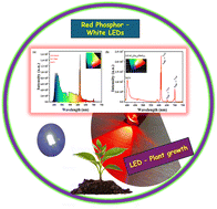 Graphical abstract: Synthesis and optical properties of a LiCaY(MoO4)3:Eu3+ red phosphor with negligible concentration quenching for highly efficient white LED and plant growth applications