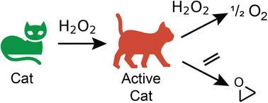Graphical abstract: Realising the ambivalent nature of H2O2 in oxidation catalysis – its dual role as an oxidant and a substrate