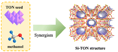 Graphical abstract: Accelerated crystallization of all-silica TON-type zeolite: mechanistic insights into methanol as a dual-function agent