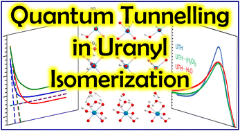 Graphical abstract: Quantum tunnelling effect on the trans–trans isomerization of uranyl tetra hydroxide in alkaline aqueous media