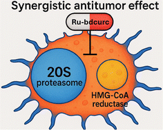 Graphical abstract: Ruthenium(ii)-bisdemethoxycurcumin conjugate complexes as potent antitumour agents through simultaneous inhibition of 20S proteasome and HMG-CoA reductase