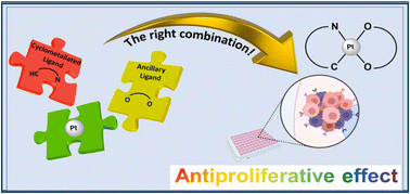 Graphical abstract: Synthesis and anticancer activity of cyclometalated Pt(ii) neutral complexes containing curcumin as a bioactive ancillary ligand