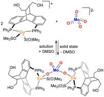 Graphical abstract: Heterodinuclear Cu(i)/Mo(vi) chemistry with bifunctional dibenzobarrelene ligands