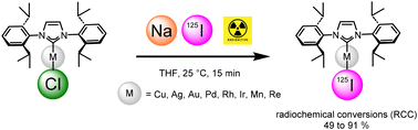 Graphical abstract: Chloride-to-(radio)iodide exchange on NHC–metal complexes