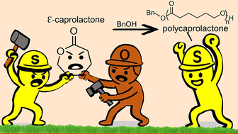 Graphical abstract: Comparison of catalytic activities of aluminum complexes with sulfur and oxygen containing ligands for the ring-opening polymerization of ε-caprolactone