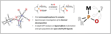 Graphical abstract: Unexpected bonding ambiguity of the open/closed-shell R2PO ligand family: the case of phosphinoyl vs. phosphoryl if bound to transition metals in their low oxidation state
