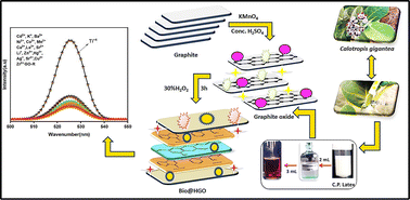 Graphical abstract: A novel synthesis of hybrid graphene oxide as a dual-functional fluorescent chemosensor for Ti4+ ion detection and antibacterial performance via simultaneous oxidation and functionalization