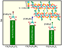 Graphical abstract: Cd5Te4O12X2 (X = Cl, Br, I): a new oxyhalide family with [CdO4X] mixed anionic units and adjustable optical properties