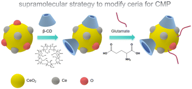 Graphical abstract: Supramolecular surface modification of ceria nanoparticles for enhanced chemical mechanical planarization performance in shallow trench isolation