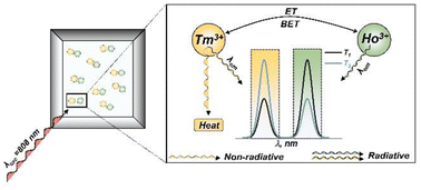 Graphical abstract: 808 nm near infrared excited Ho3+ and Tm3+ based metal–organic frameworks for luminescence thermometry and photothermal conversion