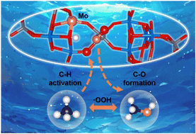 Graphical abstract: Synthesis of Mo-incorporated zeolitic octahedral metal oxides based on vanadotungstate for the selective oxidation of methane to methanol